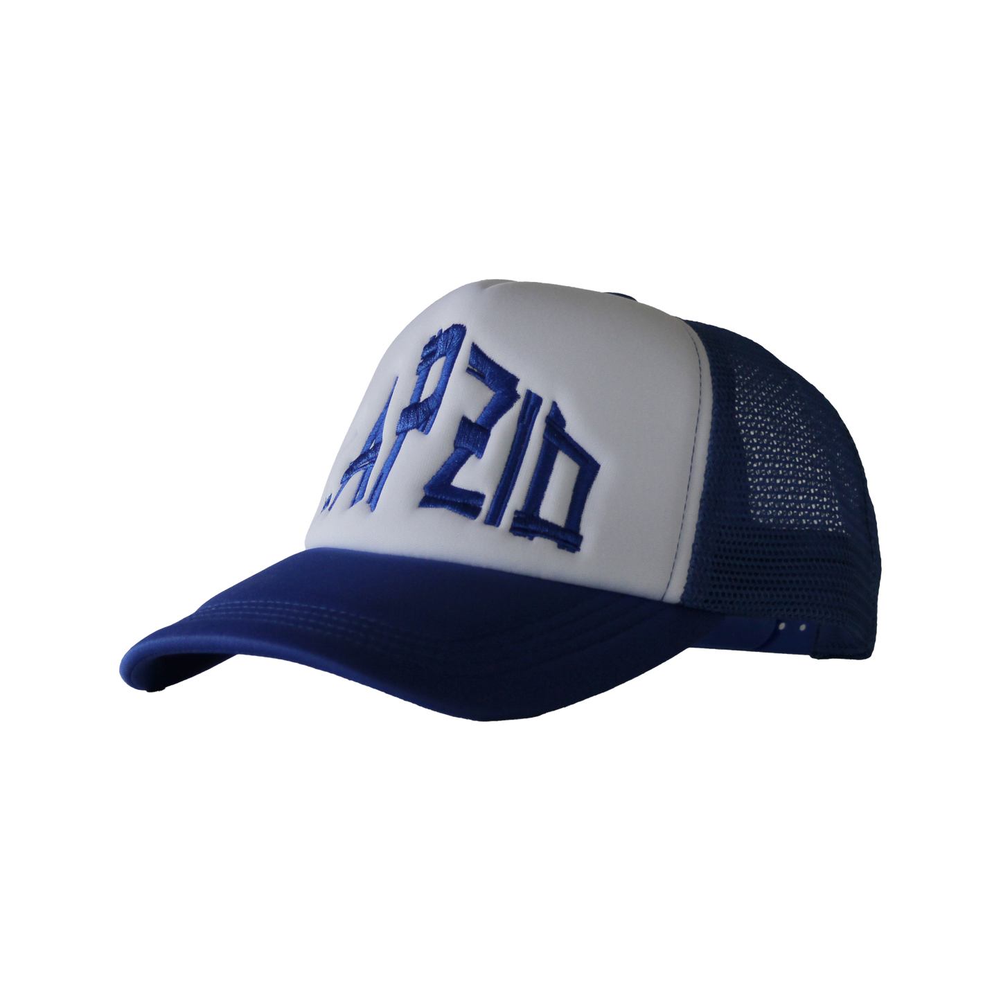 Blue & White Cap