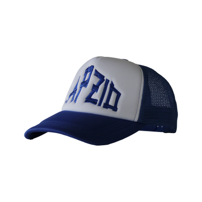 Blue & White Cap