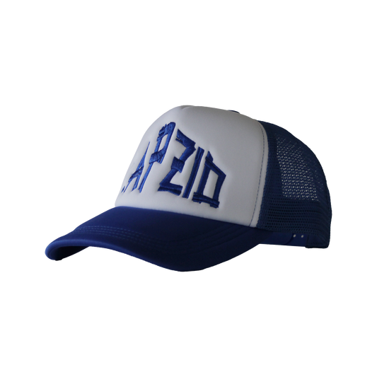 Blue & White Cap